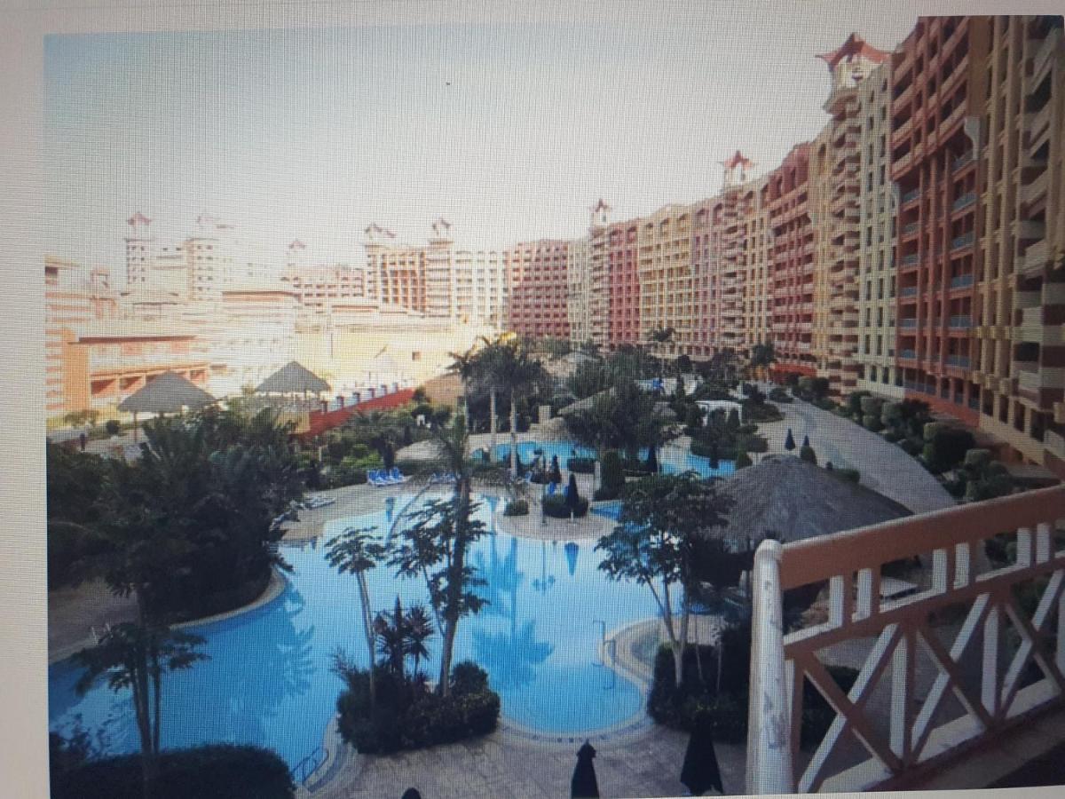 Patio Suite Porto Marina 阿莱曼 外观 照片